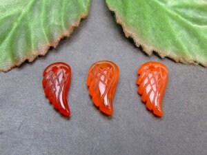 63010@@15mm×8mm AA 1 Vg̉H  ԃmE L VR p[Xg[