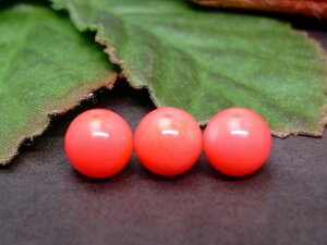 g3-344N@@sNX 8mm AA 1 TS R[  L AtJY VR p[Xg[