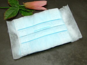 64433@@nfB Cp[ bv փV[g 10Zbg  ق ЂƐ@ G  ֗ObY zCg u[ m[uhi L