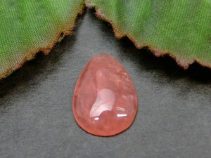 64322@@̔z 킯 ACXCJ[Y 14.5mm×10mm 1 [X  Ȃ y_ggbvɂ  A[`Y VR p[Xg[