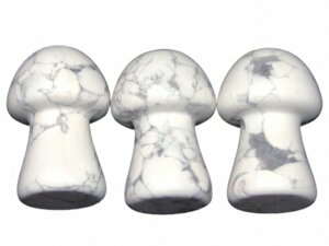 66610@@̔z 킯@nECg 49mm×32mm×27mm 1 ̂ LmR c{ }bT[Wɂ L VR p[Xg[