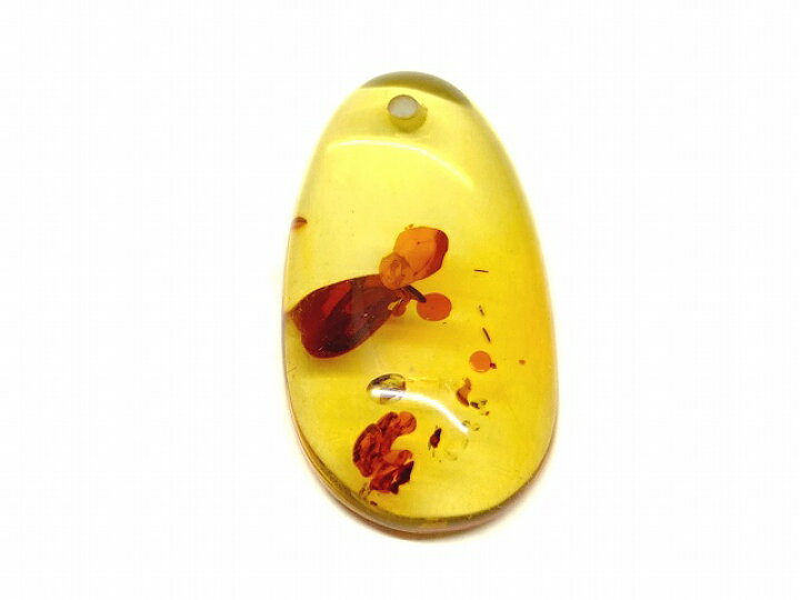 楽天市場】65969 花アンバー 琥珀 28mm×15mm AA 1個売り ルース 裸石 