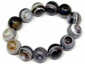 67586@ @16mm  `xbg V _̊ o uXbg a17cm |[`t  `xbgY VR p[Xg[