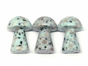 k3-100H@@̔z 킯 WXp[ 35mm×25mm 1 ̂ LmR L VR p[Xg[