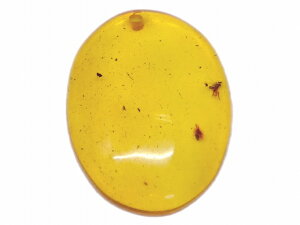 67643@@ Ao[  24mm×18mm 1 [X   y_ggbv  LVRY VR p[Xg[