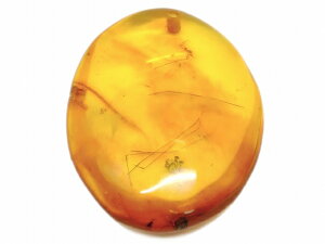 67602@@ Ao[  26mm×35mm 1 [X   y_ggbv  LVRY VR p[Xg[