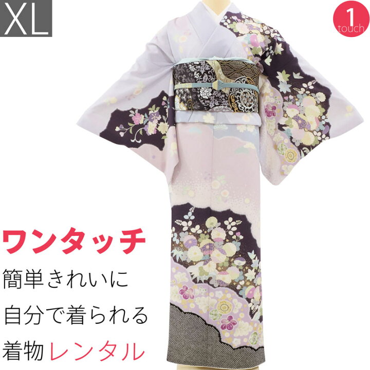 2585どうせなら人と違った色を！トールサイズ!辻か花訪問着作家落款 