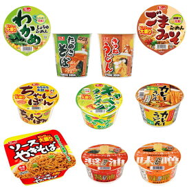 【カップ麺】 新着 新発売 大国食品 レギュラーサイズ カップ麺 に ビッグサイズも入った 10種 10個セット 送料無料