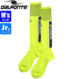 DalPonte _E|` BRSWK[h\bNX DPZ70-FYE TbJ[ tbgT