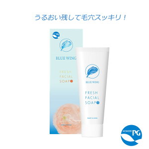 BLUE WING tbVtFCV\[v veIOJz C`Jϕi 痿 ʎ NC p PG OOw X