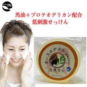 nΌ z[XGi 120g  veIOJ ێ  ΂ nZ~h̊pw܂ŐZ n X PG ItBXJ \acYngp