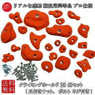 【特価】 本格派 クライミングホールド プロ仕様 25個セット 爪付きナット ボルト ネジ付き セット ボル…