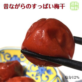 ★送料無料★昔ながらのすっぱい梅干 氷見稲積梅　1kg （ご自宅用）【無添加】【しそ梅】