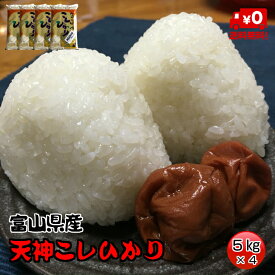 ★送料無料★天神こしひかり　5kg×4【富山県産コシヒカリ】【5年産】【お米】【こしひかり】