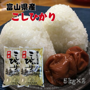 yVāzxRYЂ@10kg(5kg×2jyxRYzy7NYzyRVqJzyāzyʌz