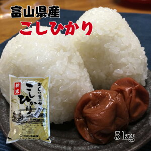 yVāzxRYЂ@5kgyxRYzy7NYzyRVqJzyāzyʌz