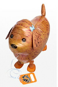 U gCv[hiDAo[jyUD o[ Aj}D   z