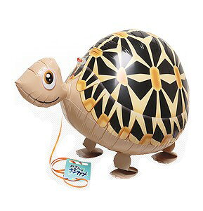 U zVKiDAo[jyUD o[ Aj}D   z