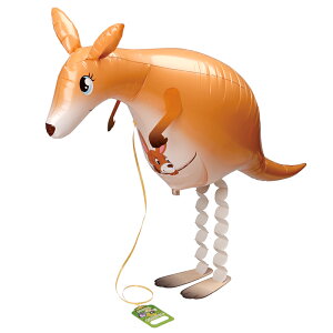 U JK[iDAo[jyUD o[ Aj}D   z