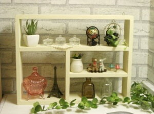 fBXvCVFt(W45cm)zCg*Ǌ|VFt@I@CɓR[i[