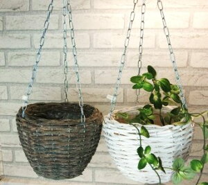 ynMOoXPbgM(zCg)(`R[OC)zق̃v^[@݂艺^Cv@oXPbg@@i`G݁@i`K[f