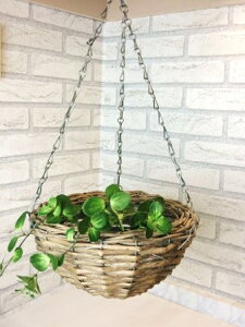 ynMOoXPbg(`R[OC)zق̃v^[@݂艺^Cv@oXPbg@@i`G݁@i`K[f