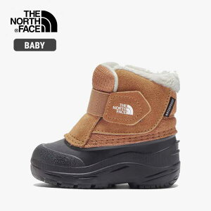 yőP19{!!3050̂!!zUEm[XEtFCX EB^[u[c gh[ THE NORTH FACE NFB02470 T ALPENGLOW II TT gh[ Ay O[ II Xm[u[c LbY WjA q