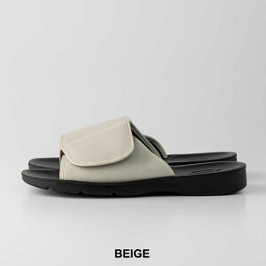 yőP28{!!2050̂!!z[X^[ T_ BAND LAZY X|[cT_ Y fB[X (240331)