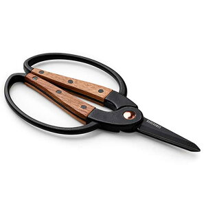 yőP19{!!3050̂!!zxA{[YrO K[fjO΂ Barebones Living K[f VU[Y (S) WALNUT |p͂ ΂ [[] (240218)