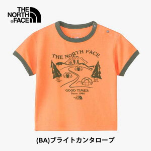 yőP19{!!550̂!!zUEm[XEtFCX tVc xr[  THE NORTH FACE NTB32474 B L-PILE RINGER T I[KjbN Rbg IW O[ pC 80cm 90cm t [ m[X