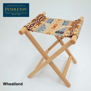 yőP19{!!3050̂!!zyhg `FA yhgAfB_bNJX^`FA PENDLETON 19806084 Custom Stool ܂肽 `FA CX ֎q Xc[ y CeA AE