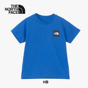 UEm[XEtFCX THE NORTH FACE LbY  tVc gh[V[gX[uX[XNGASeB[ NTT32532 T S/S S-SQU LG T ̎q j̎q UVPA OJbg zCg u[ O[