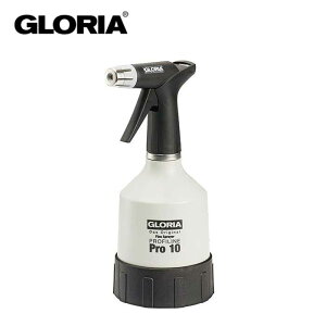 yőP19{!!1550̂!!zGLORIA OA SPLAYER PRO10 Xv[ K[fjO   Xv[[ [201225]