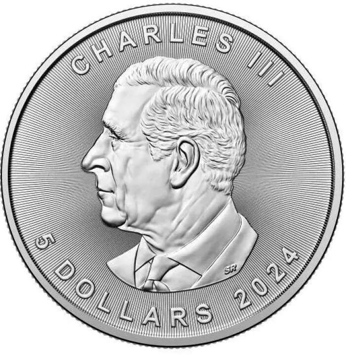 楽天市場】【2024年】メイプルリーフ銀貨 1oz 10枚セット クリアケース 