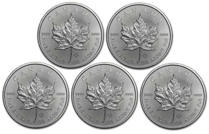 楽天市場】【2026年】銀貨 メイプルリーフ銀貨 1oz 5枚セット(5オンス 