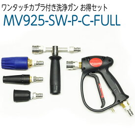 ワンタッチカプラ付き洗浄ガン お得セット ランス長10〜90cm選択