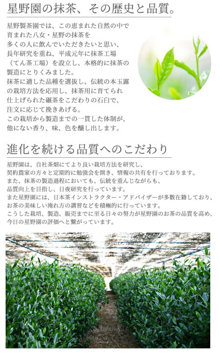 楽天市場】抹茶 星野園 池の白 40g缶 福岡 八女 星野村のおいしい抹茶 