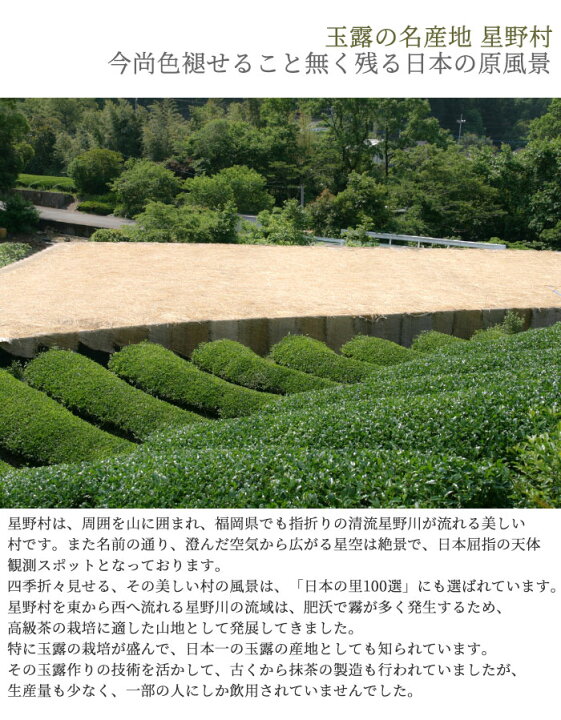 楽天市場】抹茶 星野園 星峰 100g缶 福岡 八女 星野村のおいしい抹茶 