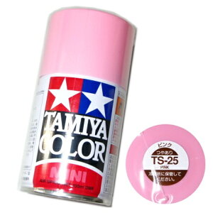 ^~ J[ MINI@Xv[h (TS-25) sN ₠@^~͌^