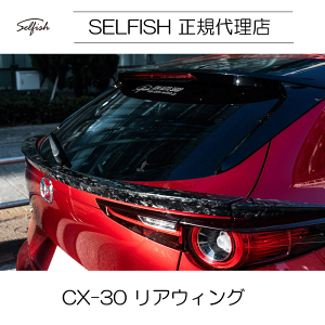 yszyzselfish }c_ CX-30 AEBO NbVJ[{