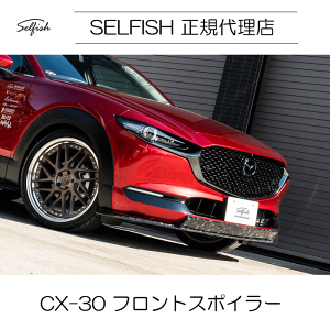 yszyzselfish }c_ CX-30 tgX|C[ NbVJ[{