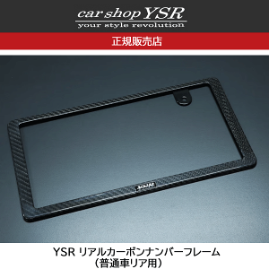 YSR AJ[{io[t[iʎԃApj