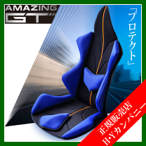 楽天市場】アメージングgt プロテクトの通販