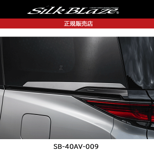 SilkBlaze@40nAt@[h/Ft@CA@AEChEg@SB-40AV-009