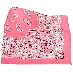 yGg[Ń|Cg7{z唻 o_i BIGTCY yCY[ VF 60cm l ha-301 |Cg ܂Ƃߔ Y fB[X  傫TCY   ^[o 傫 z 