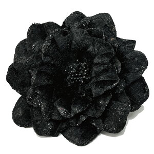 yGg[Ń|Cg7{zRT[W xA 傫 i P 11cm Ԑc  ubN 5m 傫  fB[X tH[} Ǝ  w X[c  }} ct 