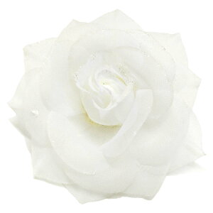 yGg[Ń|Cg5{z[Y RT[W   i Of[V I[KW[  y 炫 bV 5q fB[X tH[} Ǝ  w X[c ct