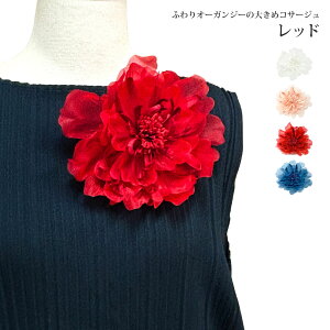 yGg[Ń|Cg7{zI[KW[̑傫߃RT[W z  ӂ  16cm _炩bV ̊  BIG tH[} ؂₩ 10b 傫 fB[X Ǝ  w X[
