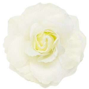 yGg[Ń|Cg10{z傫 VvRT[W  ^ꂵɂ I[KW[ n wANbvt 6n z  傫TCY v fB[X tH[} Ǝ  