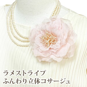 yGg[Ń|Cg5{zRT[W   XgCv sN 12cm Ԑc ؂₩ 5z-2 fB[X tH[} Ǝ  w X[c }} ct wZ \  